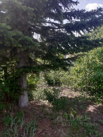 Обмен или продажа дома<br /> по адресу рп. Таврическое, рп. Таврическое, ул. Советская