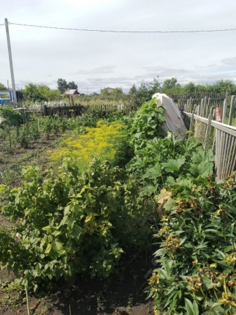 Продажа дома<br /> по адресу г. Омск,  дп. сдт Тополек (ЦАО1)