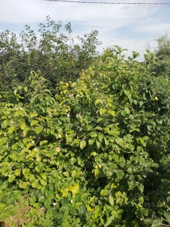 Продажа дома<br /> по адресу г. Омск,  дп. сдт Тополек (ЦАО1)