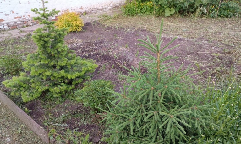 Продажа дома<br /> по адресу 646886 с. Березовка, Азовский немецкий национальный р-н, с. Березовка, ул. Восточная, 23