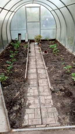 Продажа дома<br /> по адресу 646886 с. Березовка, Азовский немецкий национальный р-н, с. Березовка, ул. Восточная, 23