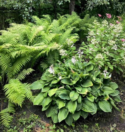 Продажа дома<br /> по адресу с/п. Пушкинское, с/п. Пушкинское, 