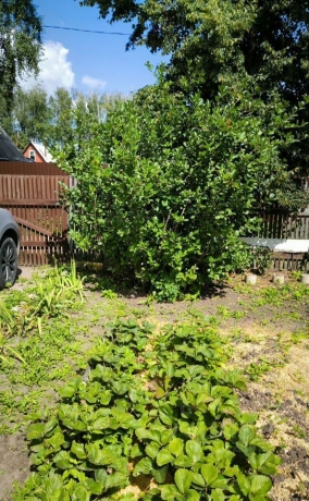 Продажа дома<br /> по адресу с/п. Пушкинское, с/п. Пушкинское, 