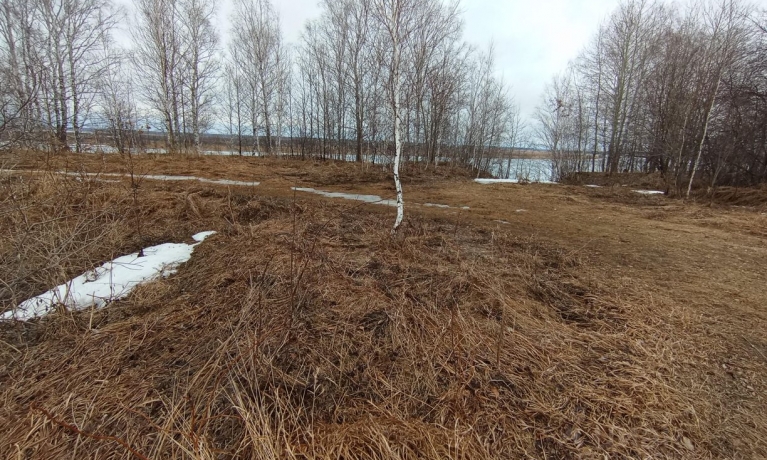 Продажа участка<br /> по адресу с. Знаменское, с. Знаменское, ул. Первомайская