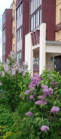 Продажа квартиры 1-комн.<br /> по адресу 644064 г. Омск,  проезд. Амурский 3-й, 5