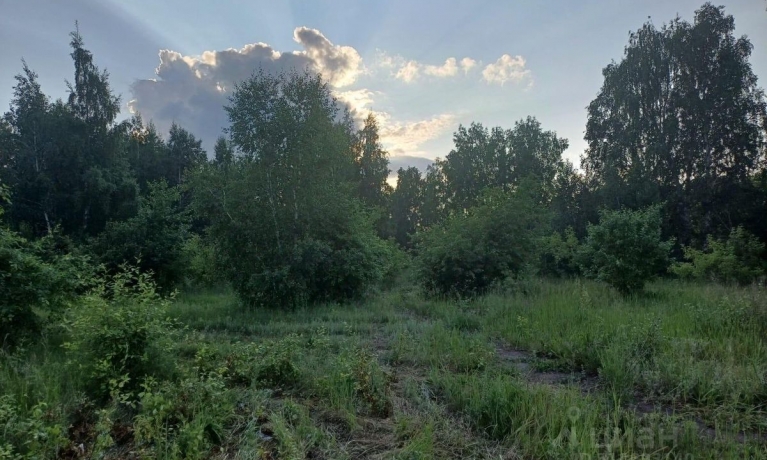 Продажа участка<br /> по адресу с. Ачаир, с. Ачаир, 