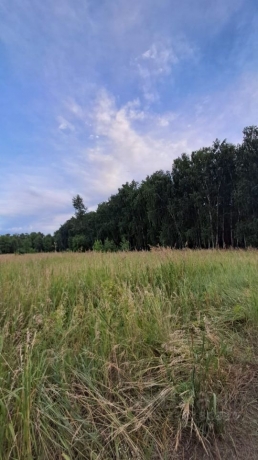 Продажа участка<br /> по адресу с. Усть-Заостровка, с. Усть-Заостровка, ул. 6-я Северная