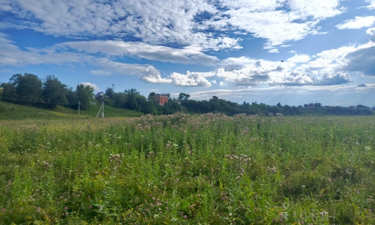 Продажа участка<br /> по адресу с. Красноярка, Омский р-н, с. Красноярка, ул. Новая