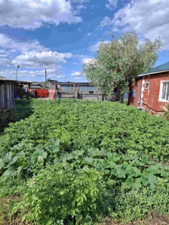 Обмен или продажа дома<br /> по адресу 646255 с. Николаевка, Черлакский р-н, с. Николаевка, ул. Новая, 5