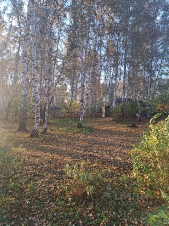 Продажа участка<br /> по адресу г. Омск,  п. Светлый