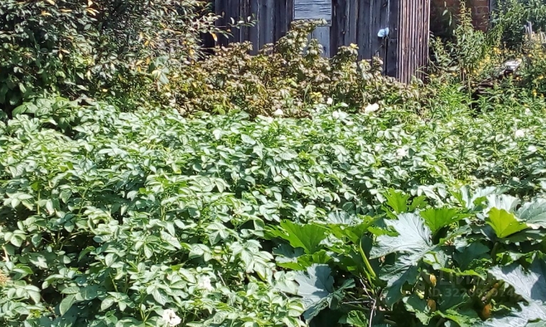 Продажа дачи<br /> по адресу г. Омск,  дп. сдт Кировец-2 (КАО)