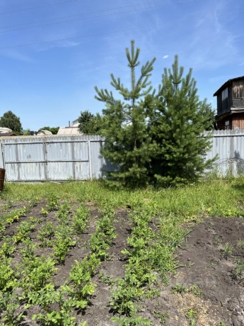 Продажа дома<br /> по адресу г. Омск,  дп. сдт Опора (КАО)