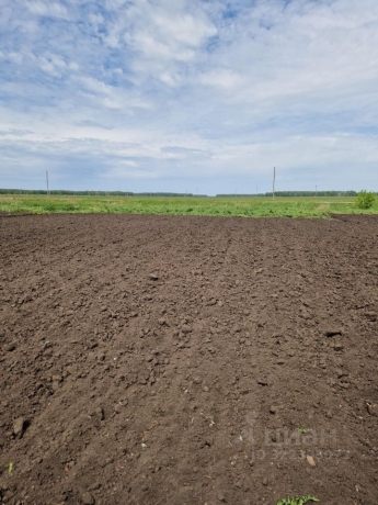 Продажа дома<br /> по адресу рп. Шербакуль, рп. Шербакуль, ул. Степная, 4