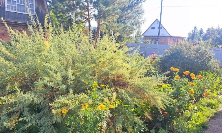 Продажа дачи<br /> по адресу г. Омск,  дп. сдт Ивушка (ЦАО1)