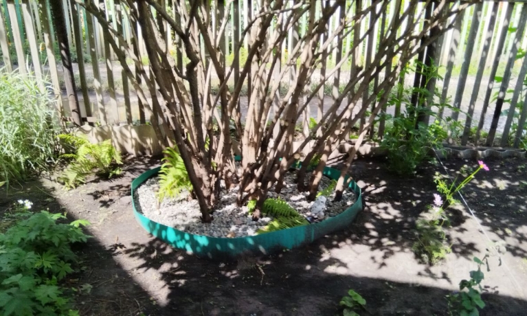 Продажа дома<br /> по адресу г. Омск,  дп. сдт Заречное (КАО)