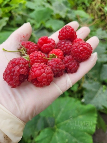 Продажа дачи<br /> по адресу г. Омск,  мкр. Осташково