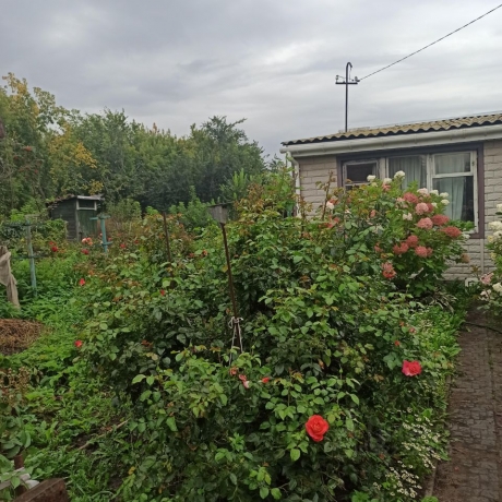 Продажа дачи<br /> по адресу г. Омск,  дп. сдт Сибирский садовод-1 (ЛАО)