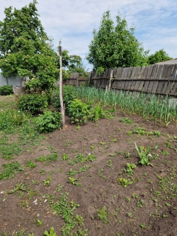 Продажа дома<br /> по адресу рп. Шербакуль, рп. Шербакуль, ул. Степная, 4