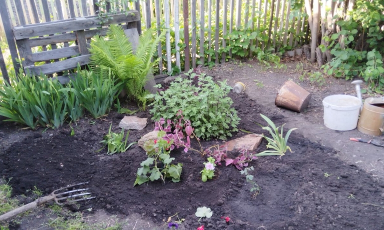 Продажа дома<br /> по адресу г. Омск,  дп. сдт Заречное (КАО)