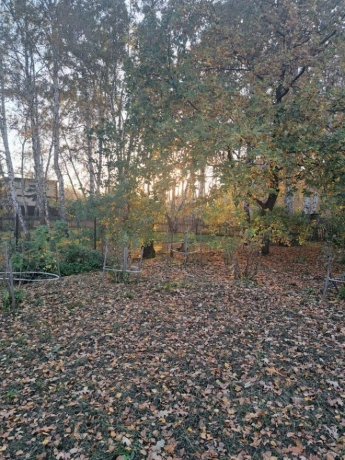 Продажа участка<br /> по адресу г. Омск,  п. Светлый