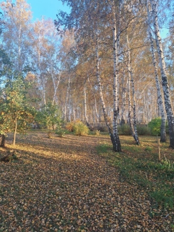 Продажа участка<br /> по адресу г. Омск,  п. Светлый