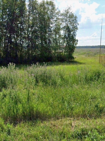 Продажа участка<br /> по адресу с/п. Пушкинское, с/п. Пушкинское, 