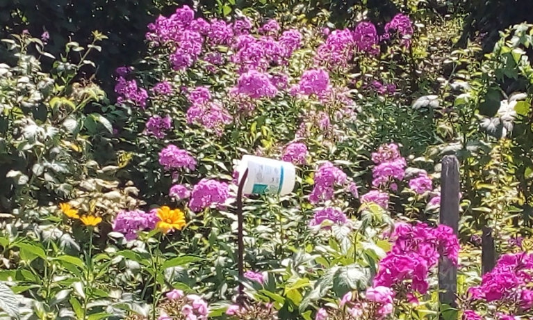 Продажа дачи<br /> по адресу г. Омск,  дп. сдт Кировец-2 (КАО)