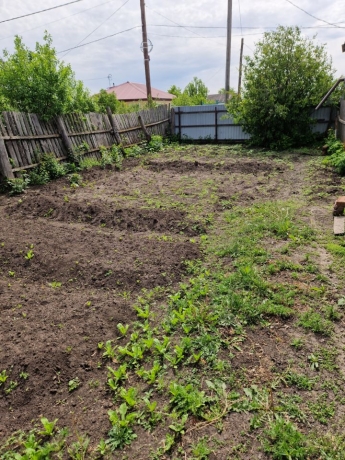 Продажа дома<br /> по адресу рп. Шербакуль, рп. Шербакуль, ул. Степная, 4