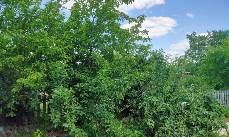 Продажа дома<br /> по адресу г. Омск,  дп. сдт Строитель (САО)