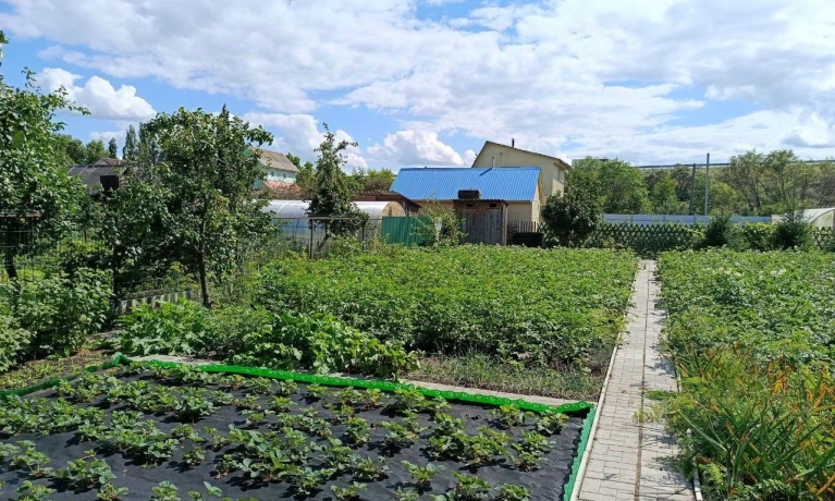 Продажа участка<br /> по адресу г. Омск,  дп. сдт Тепличный-2 (ЛАО)