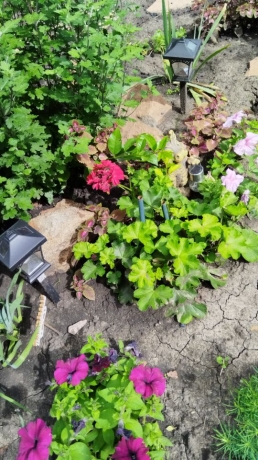 Продажа дома<br /> по адресу г. Омск,  дп. сдт Заречное (КАО)