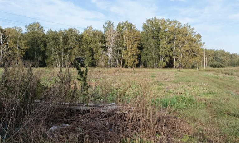 Продажа участка<br /> по адресу с. Березовка, Азовский немецкий национальный р-н, с. Березовка, 