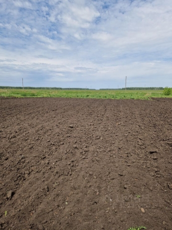 Продажа дома<br /> по адресу рп. Шербакуль, рп. Шербакуль, ул. Степная, 4