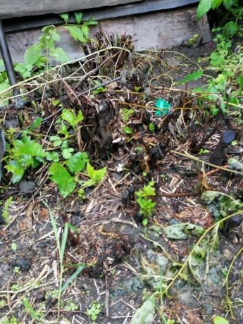 Продажа дома<br /> по адресу г. Омск,  дп. сдт Заречное (КАО)