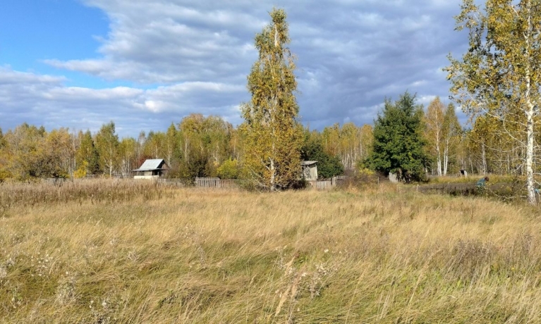 Продажа участка<br /> по адресу дп. Чернолучинский, дп. Чернолучинский, 