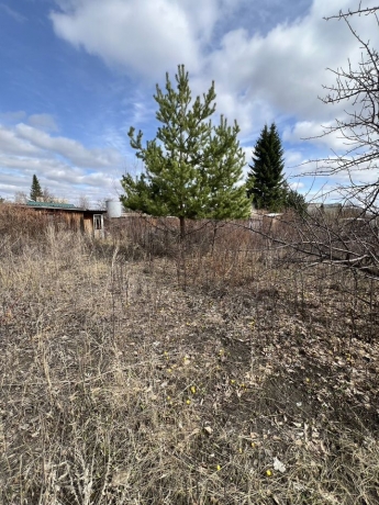 Продажа дачи<br /> по адресу г. Омск,  дп. сдт Радуга-2 (ОАО)