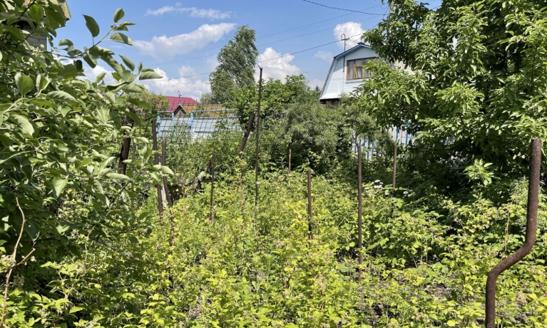 Продажа дома<br /> по адресу г. Омск,  дп. сдт Искра (ЛАО)