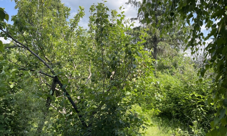 Продажа дома<br /> по адресу г. Омск,  дп. сдт Искра (ЛАО)