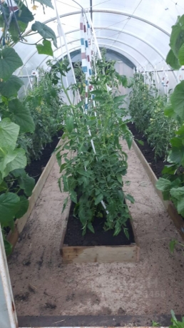 Продажа дачи<br /> по адресу г. Омск,  дп. сдт Тепличный-2 (ЛАО)