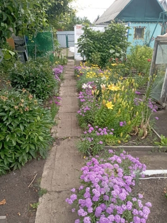 Продажа дачи<br /> по адресу г. Омск,  дп. сдт Весна (САО)