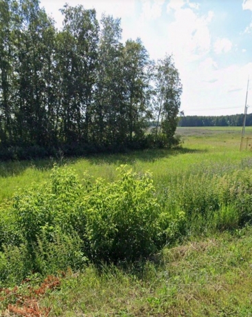 Продажа участка<br /> по адресу с/п. Пушкинское, с/п. Пушкинское, 