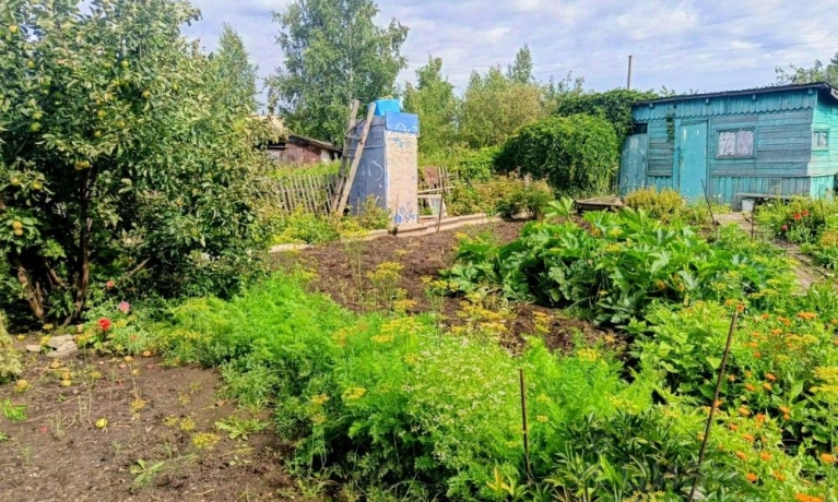 Продажа дачи<br /> по адресу г. Омск,  дп. сдт Сибирский садовод (ЛАО)