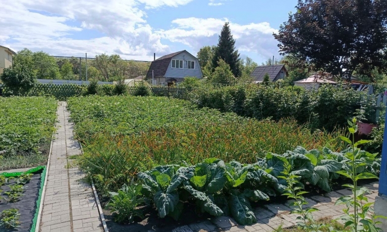 Продажа участка<br /> по адресу г. Омск,  дп. сдт Тепличный-2 (ЛАО)