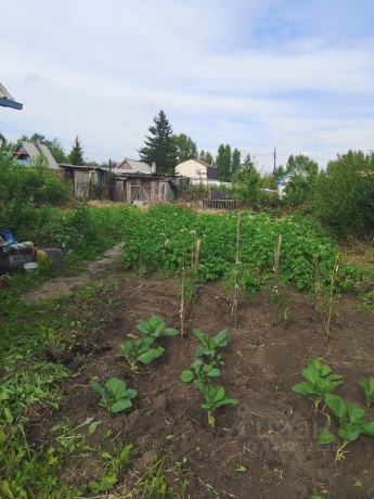 Продажа участка<br /> по адресу г. Омск,  дп. сдт Нефтяник (САО)