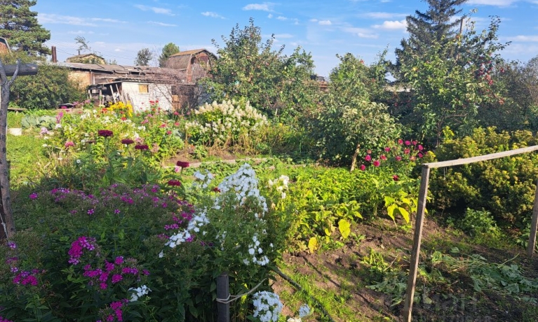 Продажа дачи<br /> по адресу г. Омск,  дп. сдт Ивушка (ЦАО1)