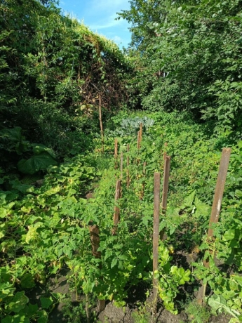 Продажа участка<br /> по адресу г. Омск,  ул. 8-я Северная