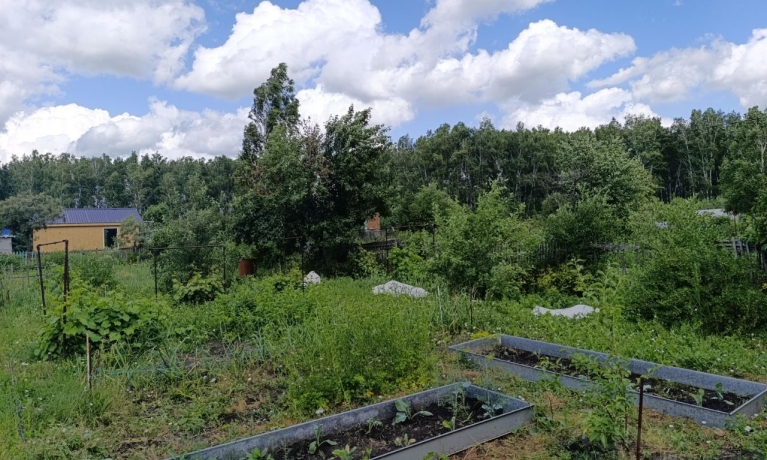 Продажа дома<br /> по адресу г. Омск,  дп. сдт Механизатор-2 (ОАО)