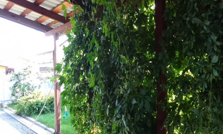 Продажа дома<br /> по адресу г. Омск,  ул. Ореховая, 18