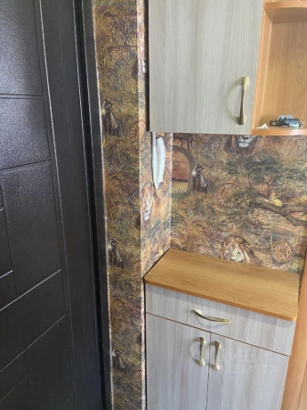 Продажа квартиры 1-комн.<br /> по адресу с. Троицкое, Омский р-н, с. Троицкое, ул. Тенистая, 12