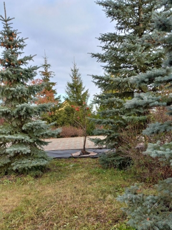 Продажа дома<br /> по адресу с. Солнцевка, с. Солнцевка, 